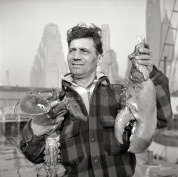 May 1943. "Dock stevedore at the Fulton Fish Market holding giant lobster claws." Photo by Gordon Parks for the Office of War Information. View full size.