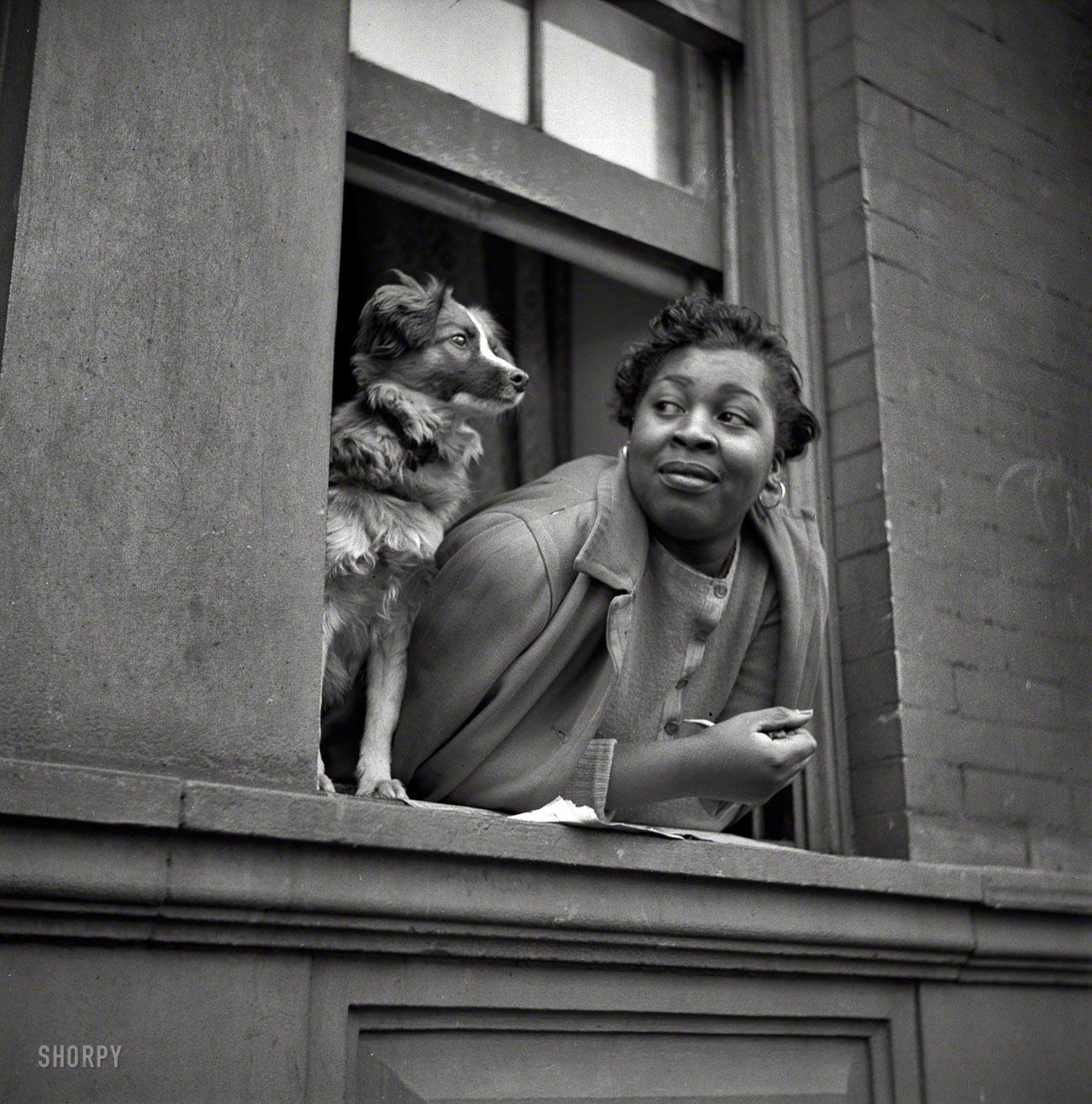 May 1943. New York. "Woman and her dog in the Harlem section." Medium format nitrate negative by Gordon Parks for the Office of War Information. View full size.
