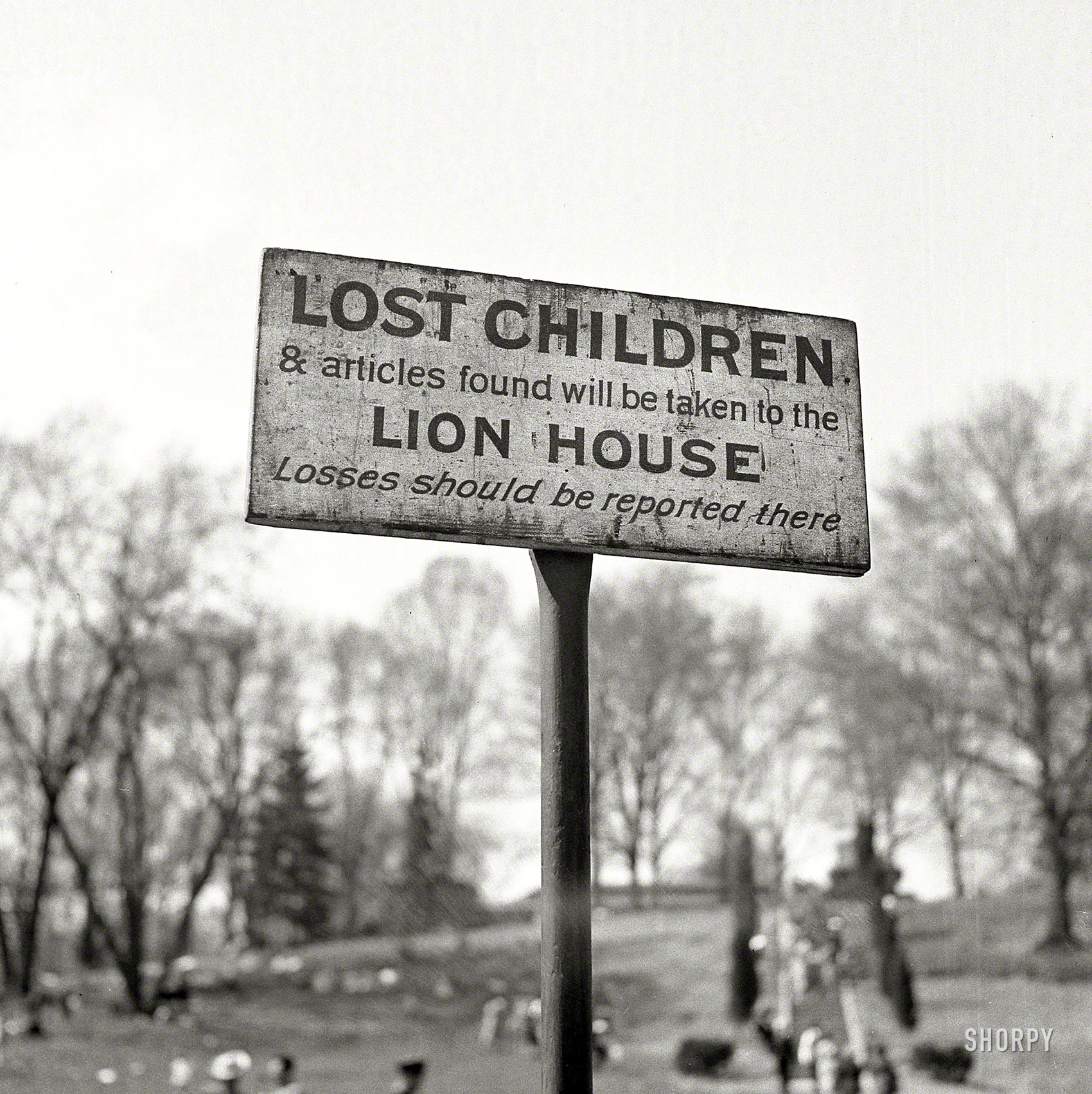 Yes, Billy was lost. But he was also plump and juicy!
May 1943. "Washington, D.C. A sign at the National Zoological Park." Photo by Esther Bubley for the Office of War Information. View full size.