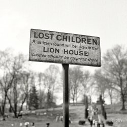 Yes, Billy was lost. But he was also plump and juicy!
May 1943. "Washington, D.C. A sign at the National Zoological Park." Photo by Esther Bubley for the Office of War Information. View full size.
