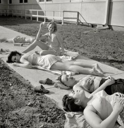 &nbsp; &nbsp; &nbsp; &nbsp; Step on a crack ...
June 1943. Arlington County, Virginia. "Arlington Farms, war duration residence halls. Sunbathers on the sidewalk in the back of Idaho Hall." Photo by Esther Bubley for the Office of War Information. View full size.