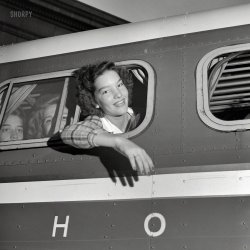 September 1943. "Greyhound bus trip from Louisville, Kentucky, to Memphis, Tennessee. This girl commutes daily to Memphis, where she goes to school." Photo by Esther Bubley for the Office of War Information. View full size.