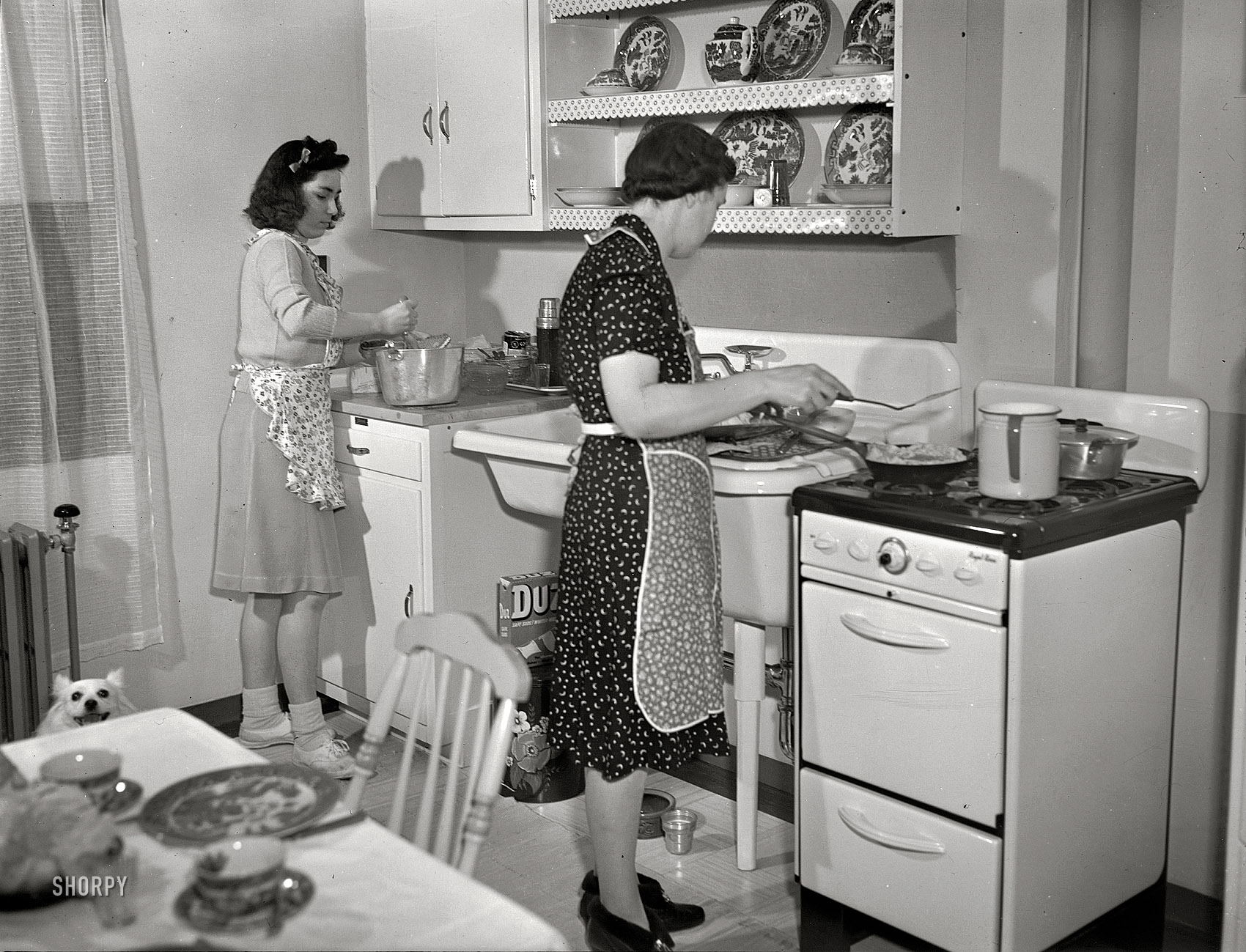 Spring 1942. "New Bedford, Massachusetts. Family of Portuguese house painter who live in low-income government housing project." Medium format negative by John Collier for the Resettlement Administration. View full size.