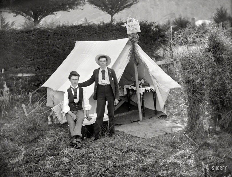 New Zealand circa 1905. "Men in front of 'Violet Camp' tent, Christchurch." On the lookout for ... foxes! Glass negative by Adam Maclay.  View full size.
