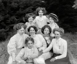 New Zealand circa 1905. "Group of unidentified young women outdoors, probably Christchurch district." An interesting variety of countenances and coifs. Glass negative by Adam Maclay, Alexander Turnbull Library. View full size.
All together now!Strange how a group of women living together somehow manage to get their hairdos in sync.
Thousand-yard stareThe practice of random individuals gazing off-camera, so common in Civil War-era photos here in the US, was likely an attempt to animate and render somewhat less formal the effects of the long exposures necessitated by the plates of that era.  Apparently, that affectation survived such technical limitations, at least in New Zealand, however the subjects there have learned to smile, an expression that few apart from Lincoln seemed to be able to hold for the requisite period during Matthew Brady's epoch.
[Ahem. Mathew, not "Matthew," Brady. -Dave]
Fashion DirectiveAll hair will be parted in the MIDDLE ! 
Troy PolamaluEAT YOUR HEART OUT!
RebelsThe young lady on the right in the second row, along with her distinctive taste in dresses, has a wonderful expression; she looks like she's up for just about anything. 
Meanwhile, the pretty blonde on the lower left offers a fine (early?) example of a "Just take the darn picture already" face. 
Lovely picture. 
TrendsettersI wonder if these girls came up with this hair parted down the middle in front and the rest put up like the fashion dictated at the time, or if there was some Kiwi fashion icon that wore it first. Except for the little blond in front on the left, I can see why it didn't catch on!
Age of Aquarius?All the remarks about parting their hair in the middle; have you forgotten the 1970's already?
Puff, PuffStripey girl on the far left wins the most points for puffiness--biggest sleeves and biggest hair.
(Adam Maclay, New Zealand)