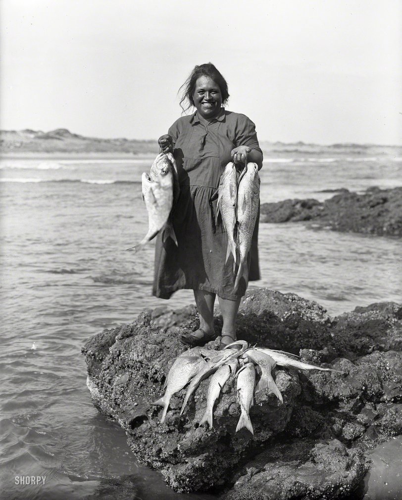 Circa 1910. "Maori woman with a catch of fish on the Northland coast." Glass negative by Arthur James Northwood. View full size.
