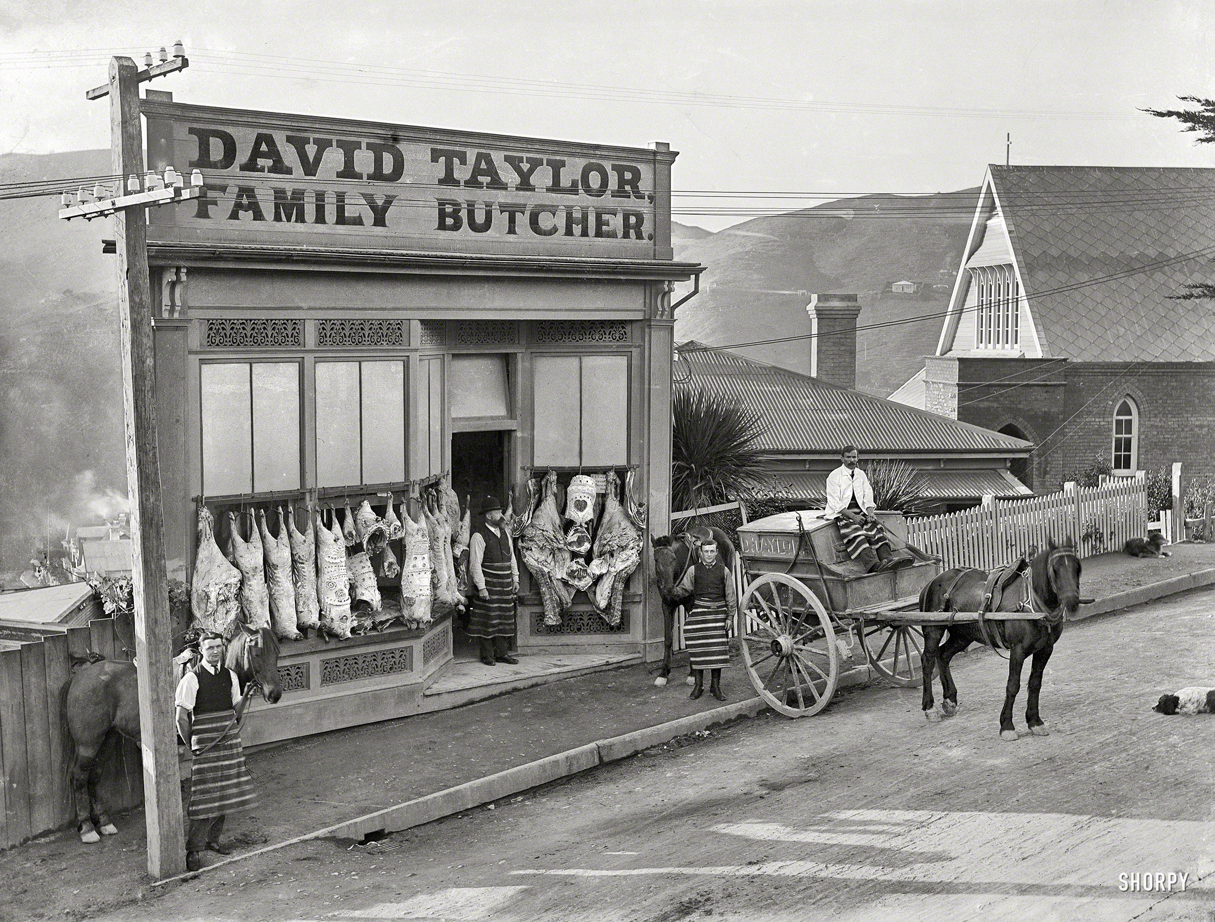 1910. Wellington, New Zealand. "David Taylor's butcher shop, Wadestown, showing decorated carcasses and horse-drawn delivery cart. David Taylor in doorway." Glass plate negative by Frederick James Halse. View full size.