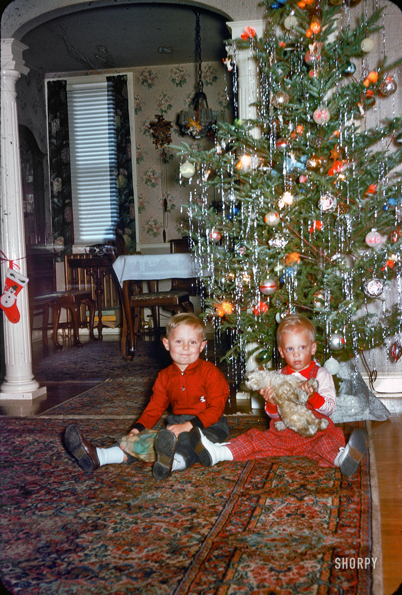  Circa 1958, it's the Pennsy Brothers, and they're ready for Christmas. Let's see some presents under that tree! 35mm Kodachrome slide. View full size.