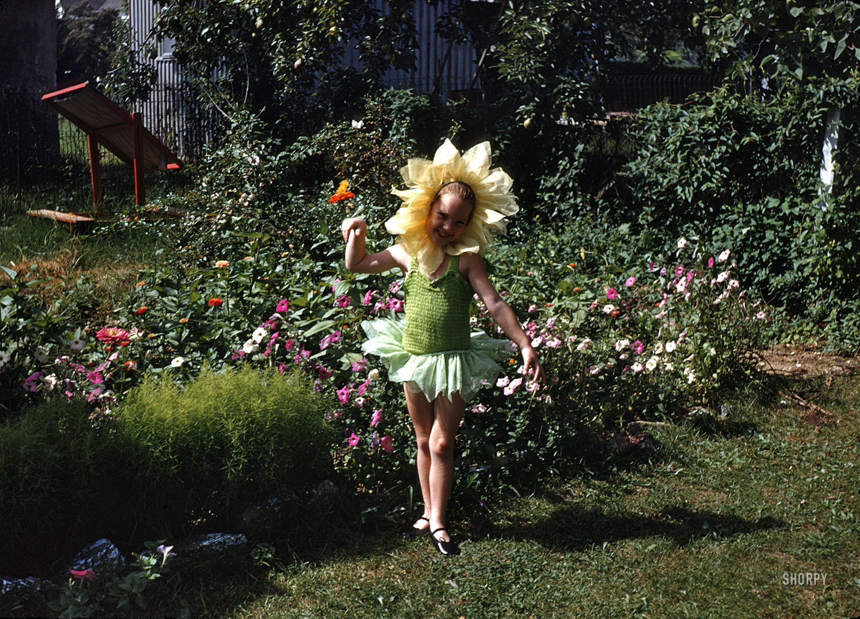 June 1955. "Ballerina Janet." I sense a school play or dance recital coming up. Our first look at yet another batch of color slides found on eBay. View full size.