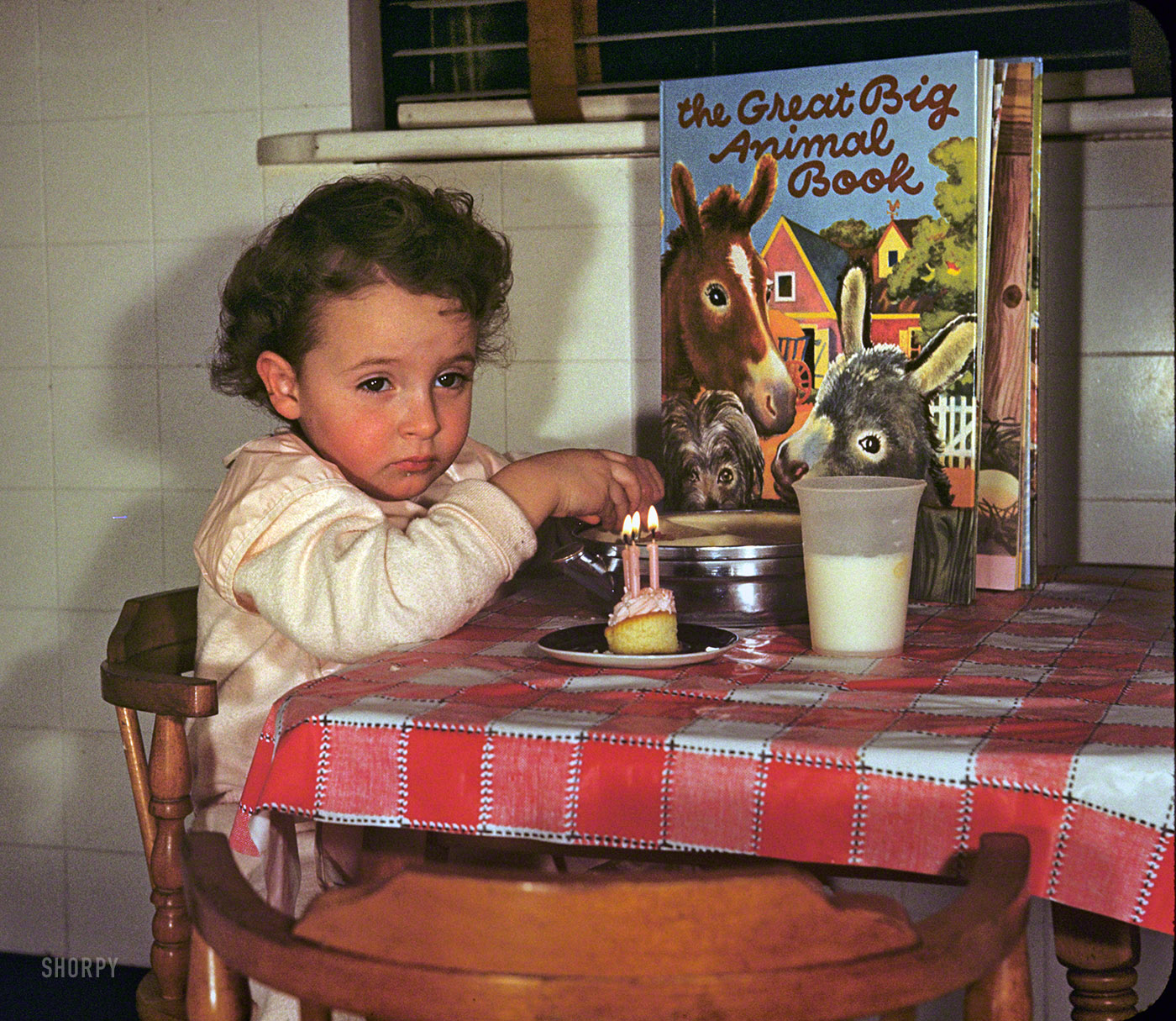 "Linda's third birthday -- 1950." Our second visit with Linda, who despite being only 3 already seems a little jaded. 35mm Kodachrome. View full size.