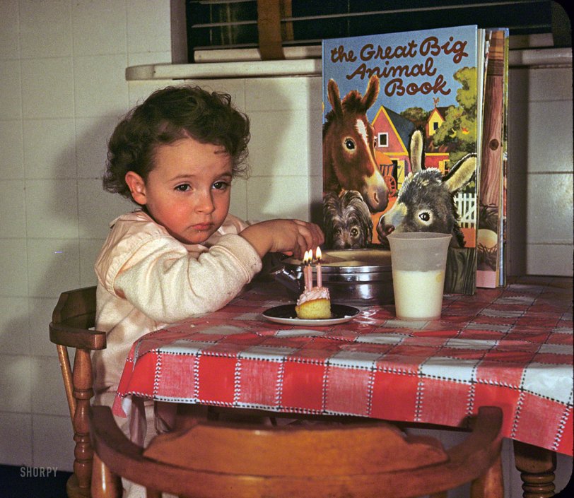 "Linda's third birthday -- 1950." Our second visit with Linda, who despite being only 3 already seems a little jaded. 35mm Kodachrome. View full size.
