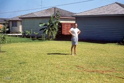 "Dave in backyard - 3510 Gannett Street, Houston, 1953." Dave, in addition to watering, you need to fertilize. The grass is greener on the other side of the banana plant. Our latest from the "Linda" series of Kodachromes. View full size.