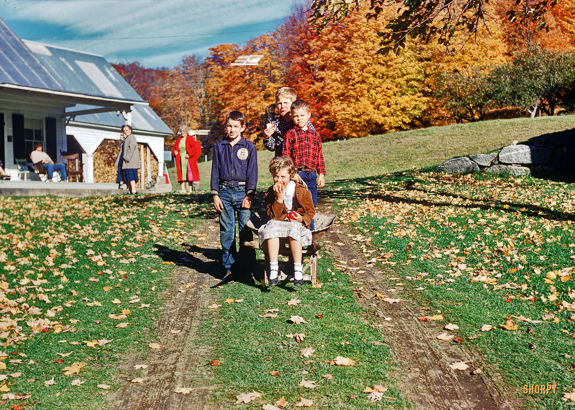 From around 1954, somewhere in New England, comes this unlabeled slide in our "Linda" series of Kodachromes found on eBay. The weather is crisp and so are the apples! View full size.