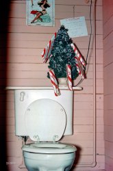 From around 1953, in a bathroom somewhere in New England, comes this curious Kodachrome from the "Linda" series of slides that your webmaster found on eBay. This would be a much less precarious scenario if the household observed a strict lid-down protocol. In any case we have a Christmas party to get back to, but business before pleasure. Excuse us for a sec, will you? View full size.
