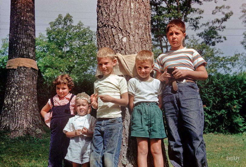 Linda and the gang circa 1952. Hey kids, go fly a kite! (But watch out for those power lines.) 35mm Kodachrome slide found on eBay. View full size.
