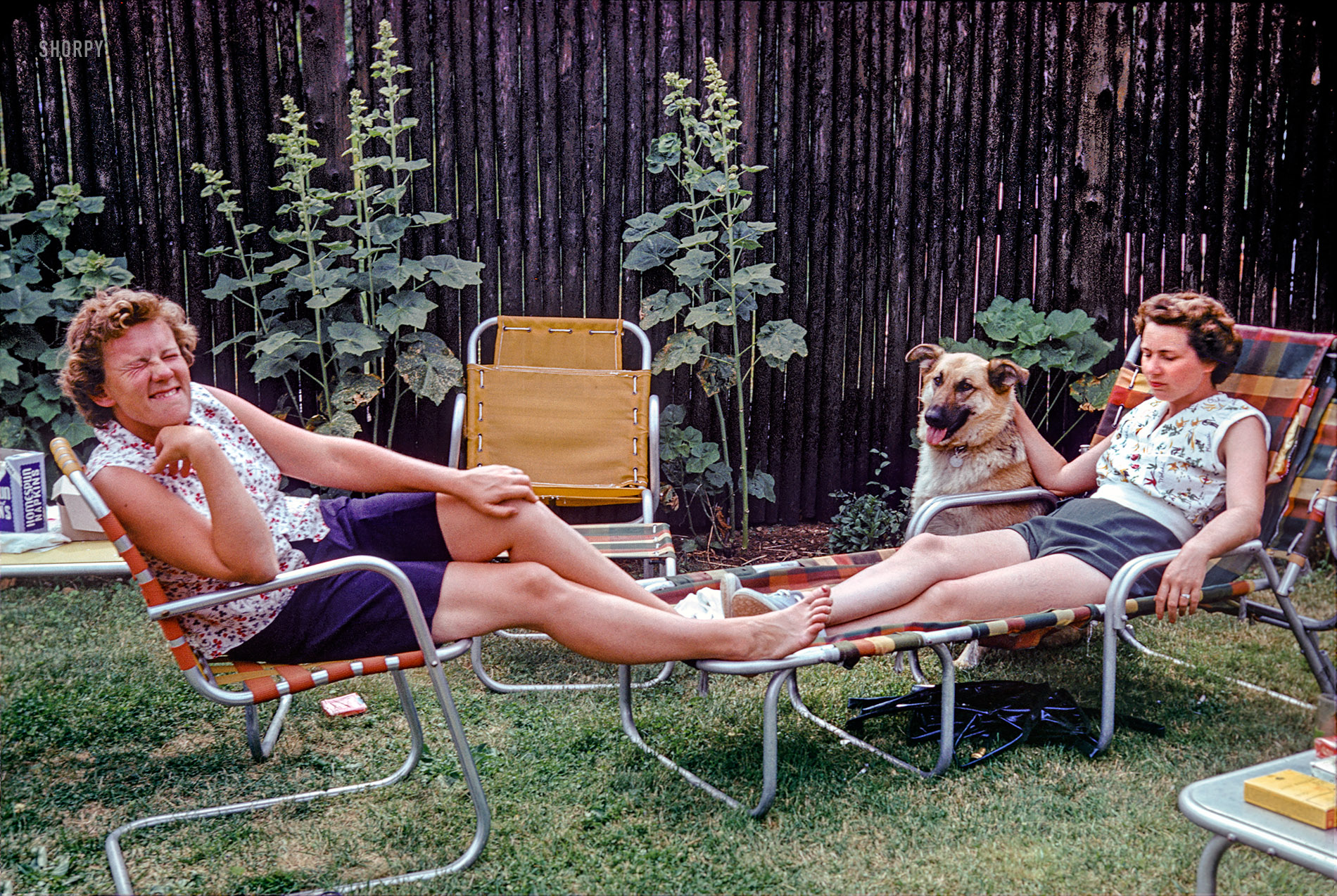 Circa 1950, Linda's mom at right with someone who might be her sister, and someone else who is definitely a dog. And, for those of you keeping track, the third box of paper napkins in this batch of 35mm Kodachromes.  View full size.