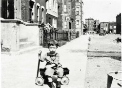 Sam Guffrea on Lexington Street with the camera facing east toward Loomis Street in Little Italy, Chicago, 1931. View full size.
(ShorpyBlog, Member Gallery)