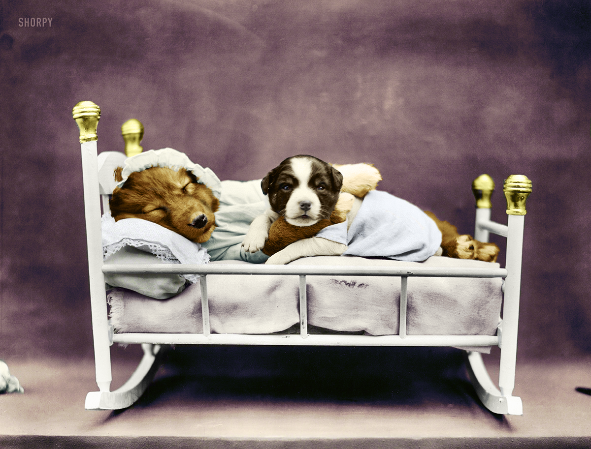 Colorized from this Shorpy original. Once again, simply cannot resist. View full size.