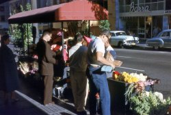 Another slide from San Francisco, where I grew up. This photo was taken on Sutter Street circa 1958. Shot on Anscochrome film, with surprisingly vivid colors!  They brought Flower Power to San Francisco well before the hippies arrived! View full size.
(ShorpyBlog, Member Gallery)