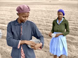 Colorized from Shorpy's files. March 1941. "Planting corn on a plantation near Moncks Corner, South Carolina." Medium-format negative by Jack Delano for the FSA. View full size.