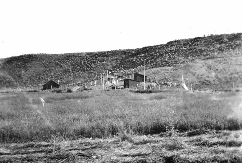Another view of the post office in the distance.  Dated 1920s. View full size.
[Where is Three Creek? -tterrace]
