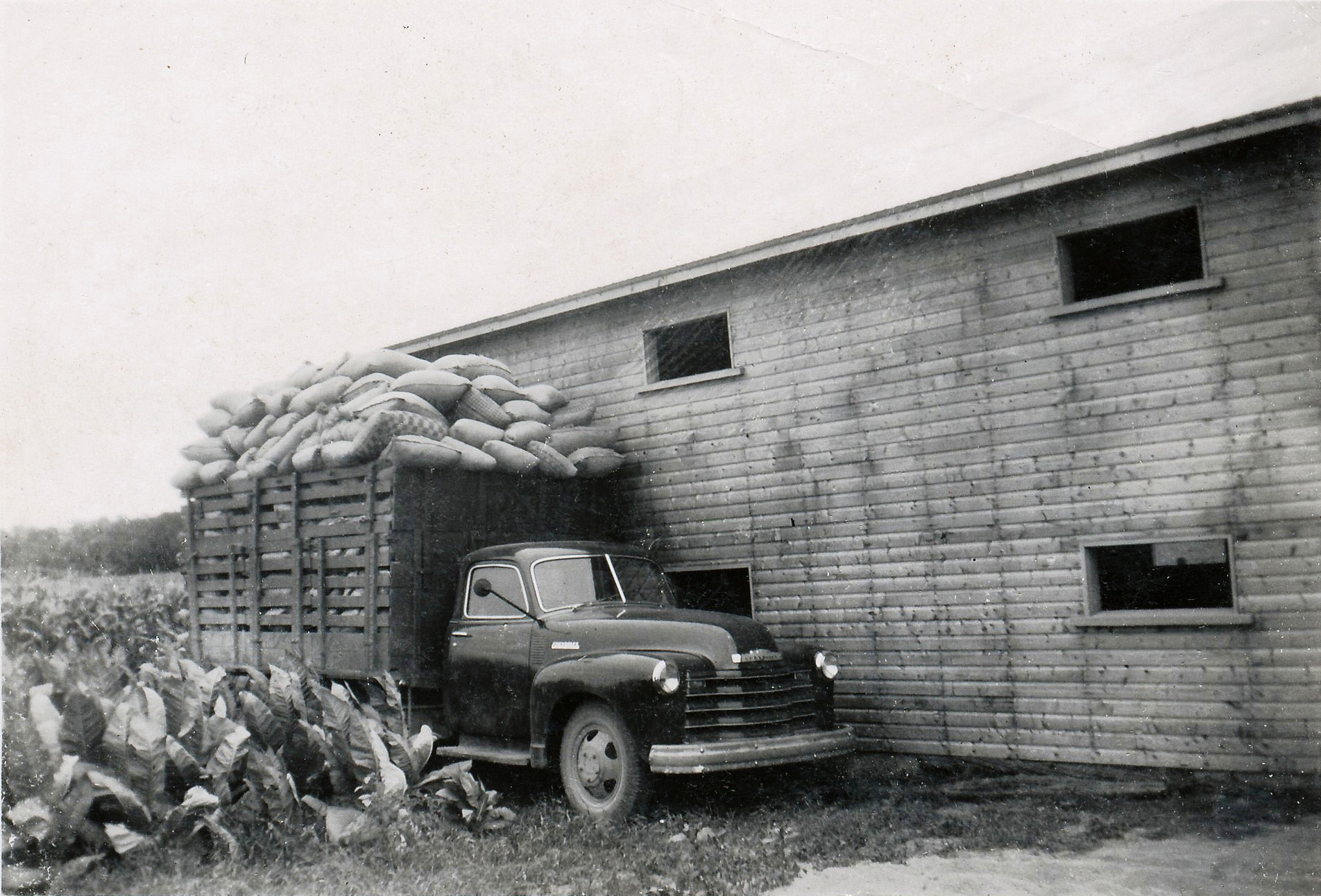 A big delivery at my father's farm in the Pont-Rouge Province of Quebec, 1948. Those bags are full of wood chips used as floor covering for chicken breeding. View full size.