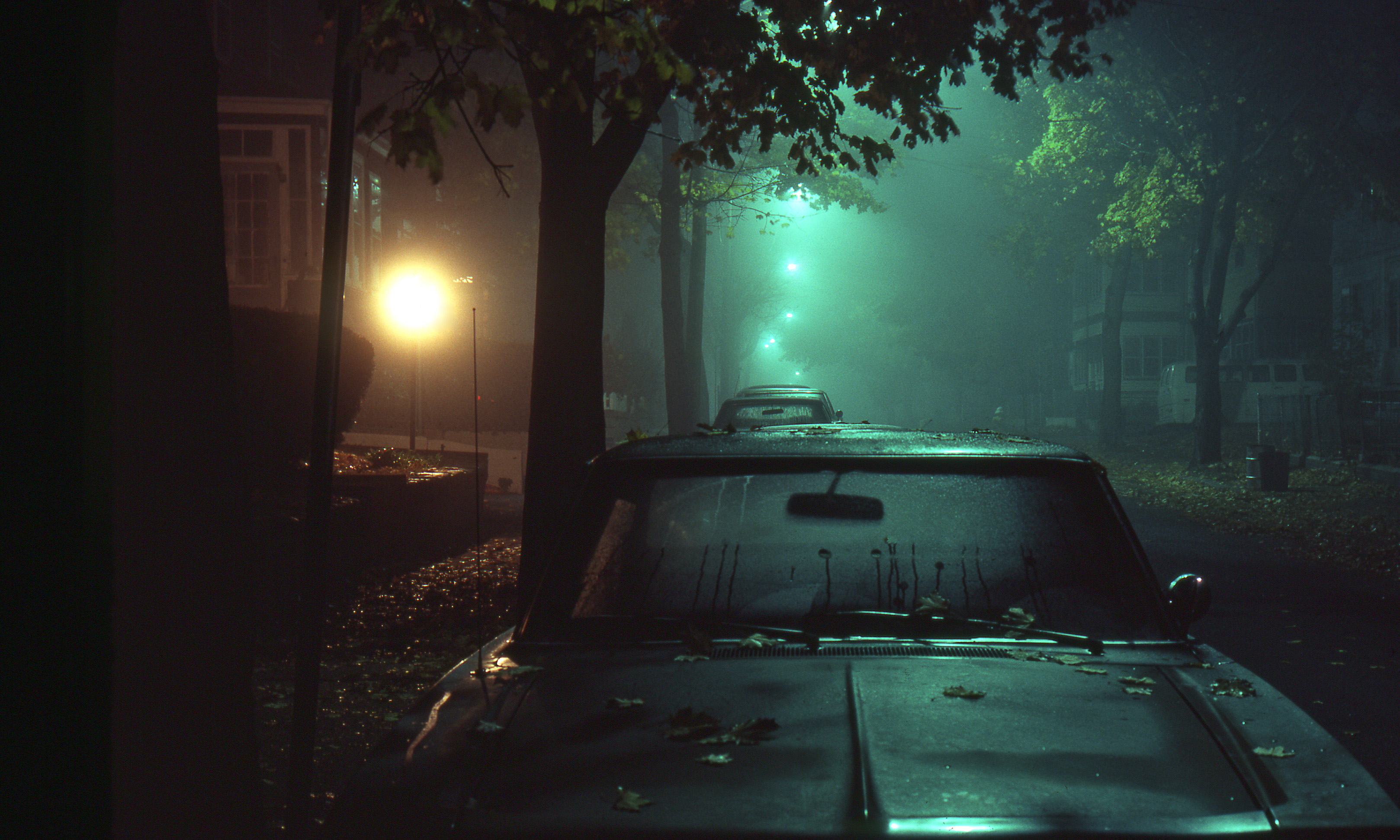 Medford, Massachusetts, Fall 1978. Misty; wet; the smell of wet leaves and the quiet. From a Kodachrome slide I took with a Nikon FM camera. View full size.