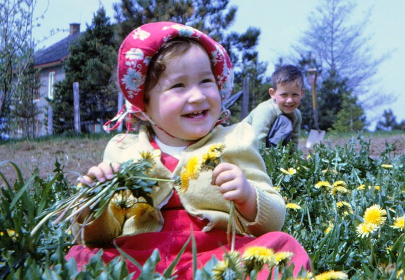 My little sister Anne-Marie with me in the background. Taken near Quebec City on 35 mm Kodachrome 25. Spring 1961. View full size.
