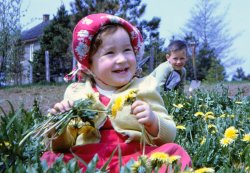 My little sister Anne-Marie with me in the background. Taken near Quebec City on 35 mm Kodachrome 25. Spring 1961. View full size.
(ShorpyBlog, Member Gallery)