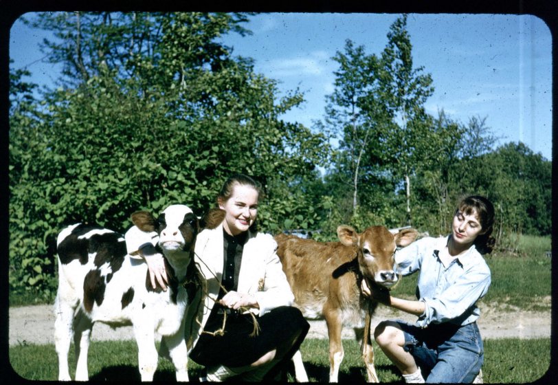 These are two of my Aunts, (my Dad's older sisters) from about 1955. The one on the left, Mae, was Miss New Hampshire in 1954, and we have a photo of her with President Eisenhower. The one on the right is Kay. This picture was taken by my future uncle on the family farm in New Hampshire. My parents built a house in the space directly behind where this photo was taken. View full size.
