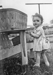 My wife's Aunt Sandy as a baby around 1951. This would have been near Sylacauga, Alabama, I believe. View full size.
(ShorpyBlog, Member Gallery)