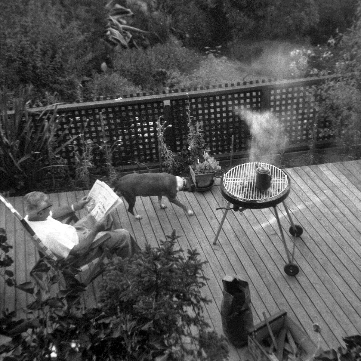 A garden, a deck, a barbecue, the family dog and the papers. My father, after a day at work, relaxes in his domain in 1962. You don't get more echt than this. He created the deck and the lattice fence as well as surrounding gardens, a very small portion of which is at the top. Our BBQ seems starkly low-tech these days. No starter fluid for Father; that's a box of kindling at the bottom. Snapped with my Kodak Brownie Starmite. View full size.