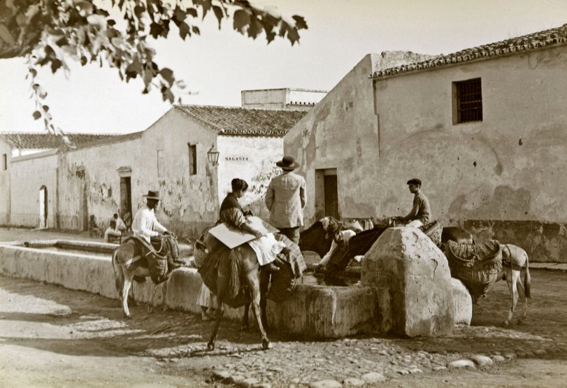 Public trough in Sanlucar de Barrameda, Spain. Positive in glass taken c.1900 by my great-grandmother's brother. Slightly out of focus but interesting anyway. View full size.

