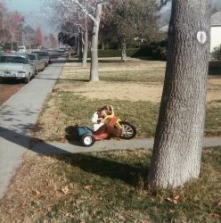 My stepson on a Big Wheels around Christmas time in Upland, California in the early 70's. View full size.
(ShorpyBlog, Member Gallery)