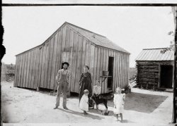 Photograph taken by an itinerant photographer somewhere in Brown County, Texas in 1905. My grandfather, 28, was farming cotton for his wife Laura's father. Two years later the family moved to Ira, Texas, where my grandfather bought a farm and raised 6 children. View full size.
#4 Is On The WayJudging by Grandma's dress, #4 will soon be joining the family.
I can't tell what the child in front has.  Is it a pull toy?  A kitten on a string? Any ideas?
Great buildingsI love this photo!  What are the two buildings, I wonder?  A very small house on the left, probably.  Is the log cabin a kitchen?  At first I wondered about its being a barn, but there is no fence around it.  The house has no basement, not even a foundation.  Might still have been cold in the winter, but maybe Texas doesn't get all that cold.
(ShorpyBlog, Member Gallery)