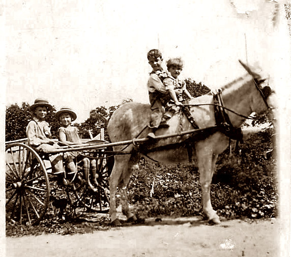 This photograph is undated and the kids are unknown.  It came to us from my mother-in-law and is likely some of the Dighero Family who came from Italy in the 1880s and ultimately settled in western Missouri, near Liberal.
