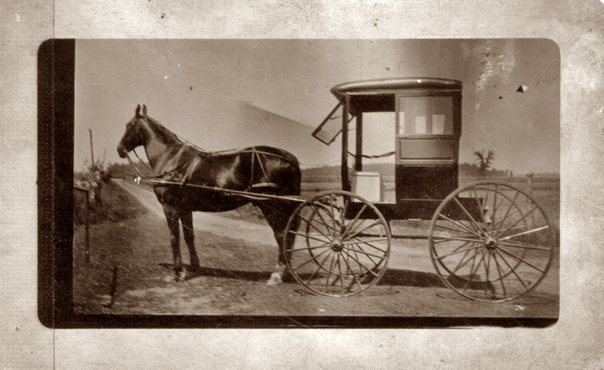 This buggy was used by an Amish family in Geneva Indiana during the early 1900 to 1920. From the Clanton family photo collection.