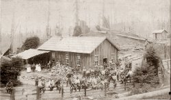 This is Camp 1 in the canyon a mile and a half above Minor Mill in Glendale, Humboldt County, Calif. Taken in 1886 to 1887. Photographer unknown to me. 
(ShorpyBlog, Member Gallery)