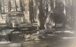 This is from a group of photos of my dad's family during a road trip to Yosemite National Park. Judging from other pictures with my dad as a kid in them, I'm thinking this was around 1946. (Sadly he is not around anymore) I wish that old Ford was still around, though not likely as he traded in cars every few years.
(ShorpyBlog, Member Gallery)