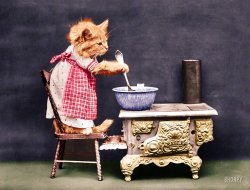 Colorized from this Shorpy original. Not my usual fare. Just wanted to colorize this one in honor and memory of my beloved Orange Kitty, who passed away almost a year ago. I took great liberties with the color, especially the stove, to make it a bit more colorful. View full size.