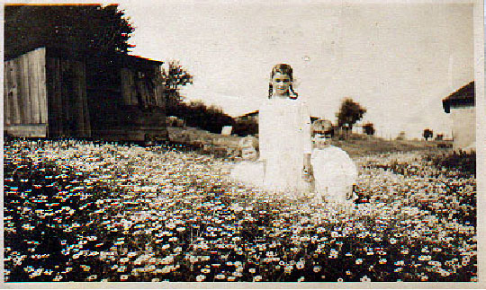 Catharine Carofalo, and her cousins Anna and Carl Schwendt, in a field of daisies at Maple Trees Farm in Skippack, Pennsylvania.
