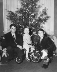 This is of my uncles Johnny (L), and Phil (C); and my father David (R), taken in 1950 in Columbia SC. Johnny and David were twins, both 15, and Phil was 2. The little "smiling boy" ornament behind Phil's left shoulder became a family heirloom until it was destroyed when my own house burned down in 2004. View full size.
(ShorpyBlog, Member Gallery)