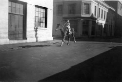 My 7-year-old sister Gail riding her horse through the streets of Geelong, Australia, on an early Sunday morning in 1948. She grew up to breed Australian Ponies. View full size.