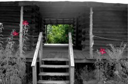 Dogtrot in Elmore County, AL, colorized.
Well DonePerfect! The green foliage and pink flowers are balanced and give such depth and interest.  
I don&#039;t think we&#039;re in Alabama anymoreI love this. It has a rural "Wizard of Oz" feel to it. Not that I'm a fan or anything.
(ShorpyBlog, Member Gallery)