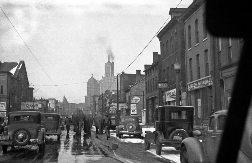 This photo was probably taken in the mid to late 1930s. Circus animals were walked through the streets to get to the arena from their train. From the taller buildings in the background it looks like we are looking up Broadway toward downtown. We can see the Liberty Bank building with a small Statue of Liberty visible on its top and I believe the Rand building (to the right). Both buildings are still there. 
Just to the left of the elephants there is a sign on the building that says "Circus April 10-?." The second date is blocked. This is obviously where they are headed.
It looks like we had some not too unusual late snow in Buffalo. View full size.
