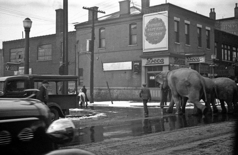 Circus elephants rounding the corner from Broadway onto what may be Nash St. near downtown Buffalo. If you lived in Buffalo during the 1960s or earlier you will for sure recognize the Deco Restaurant in this show with "Buffalo's Best Cup of Coffee." I believe this photo is from the mid 1930s. View full size.
