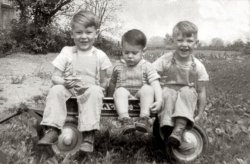 My brothers Kenny, Tommy and Larry Hedge in the Radio Flyer. Taken in Hall, New York, mid 1950's.   
(ShorpyBlog, Member Gallery)
