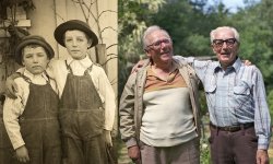 Brothers: 1912/1985