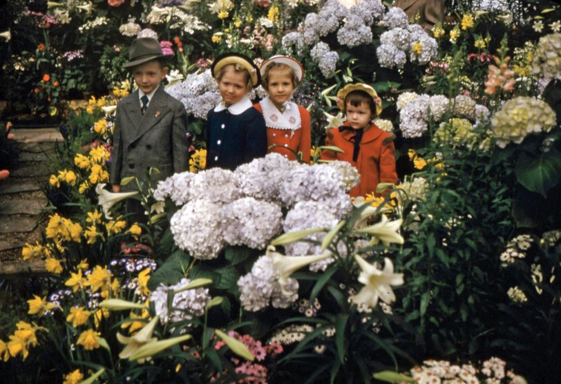 My cousins, dressed in their Easter Sunday best, pose among the flowers at Chicago's Garfield Park Conservatory. 35mm slide. View full size.
