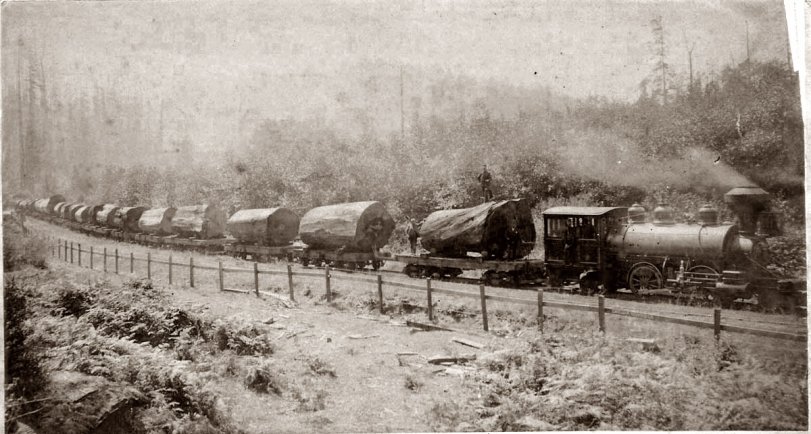 Redwood logging train in Freshwater, Humboldt County, California, before 1900. Photo by Ericson of Arcata. 
